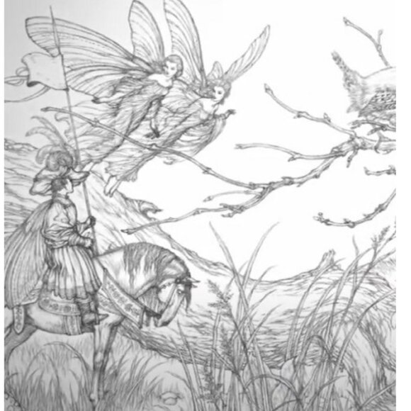 Coloring Fairies: Featuring the Artwork of Celebrated Illustrator Niroot Putta - Picture 6 of 8